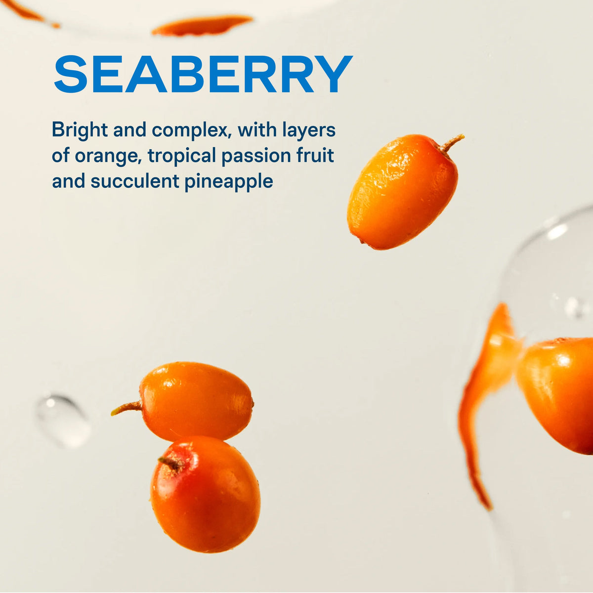 Seaberry Hydration Multiplier® Your Hydration Routine for Weekends